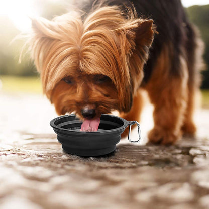 Large Collapsible Dog Bowls - 2 Pack, 34 Oz Portable Travel Bowls with Clasp for Pets, Ideal for Water and Food, Perfect for Traveling, Walking, and Hiking (Black)