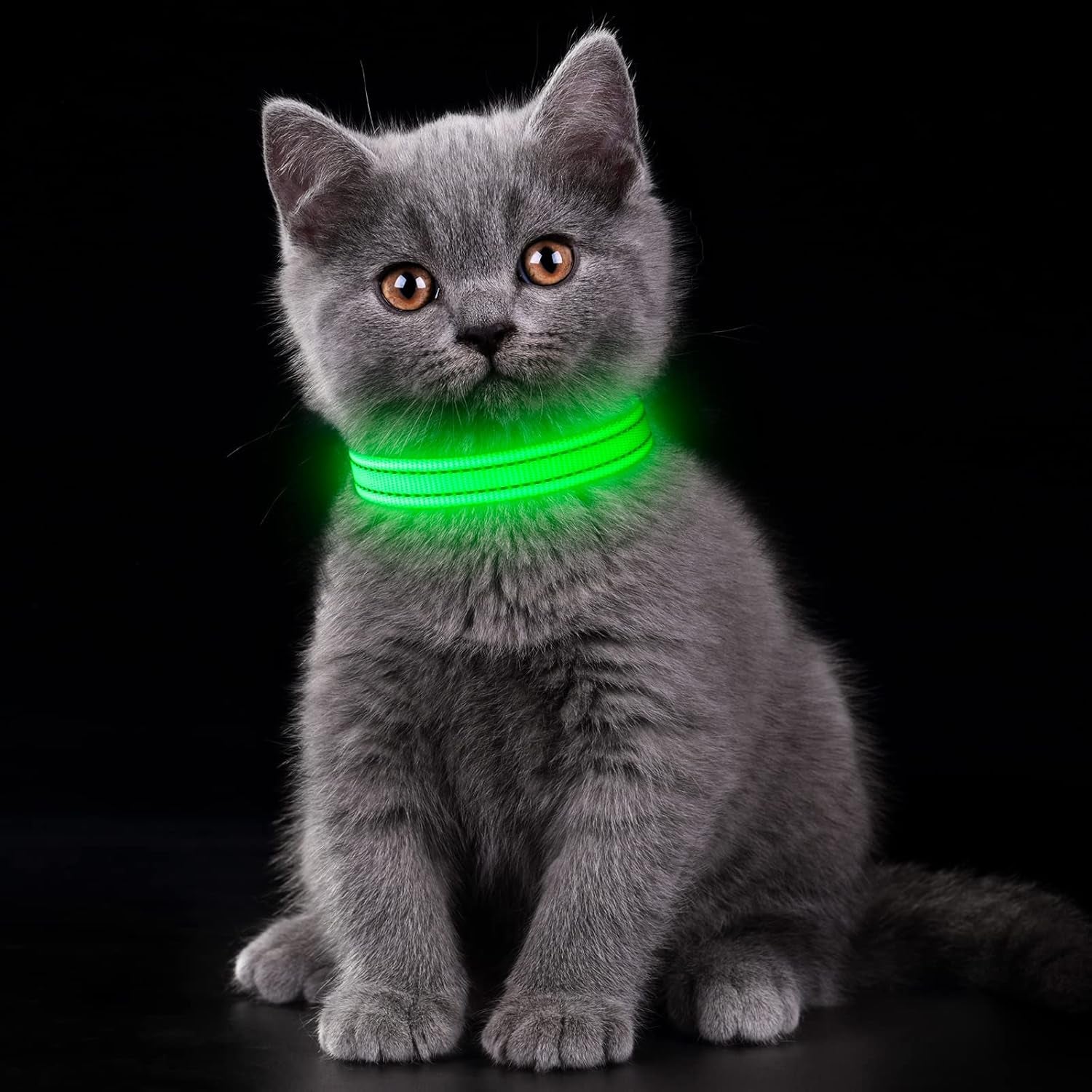USB Rechargeable LED Dog Collar - Adjustable and Durable Light-Up Collar for Cats and Dogs of All Sizes (Green, XS)