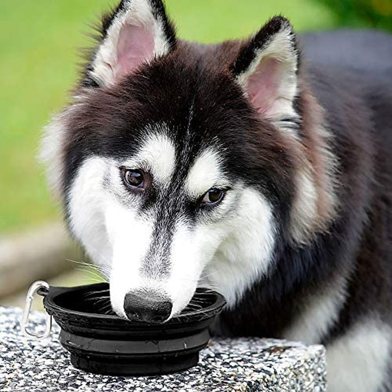 Large Collapsible Dog Bowls - 2 Pack, 34 Oz Portable Travel Bowls with Clasp for Pets, Ideal for Water and Food, Perfect for Traveling, Walking, and Hiking (Black)